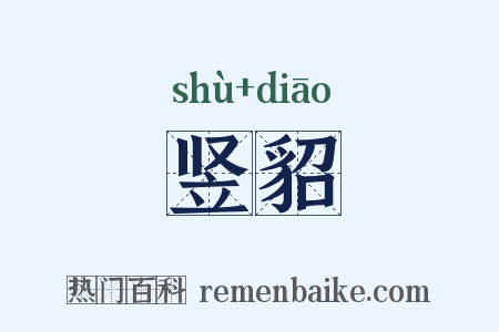 竖貂是什么意思的图片